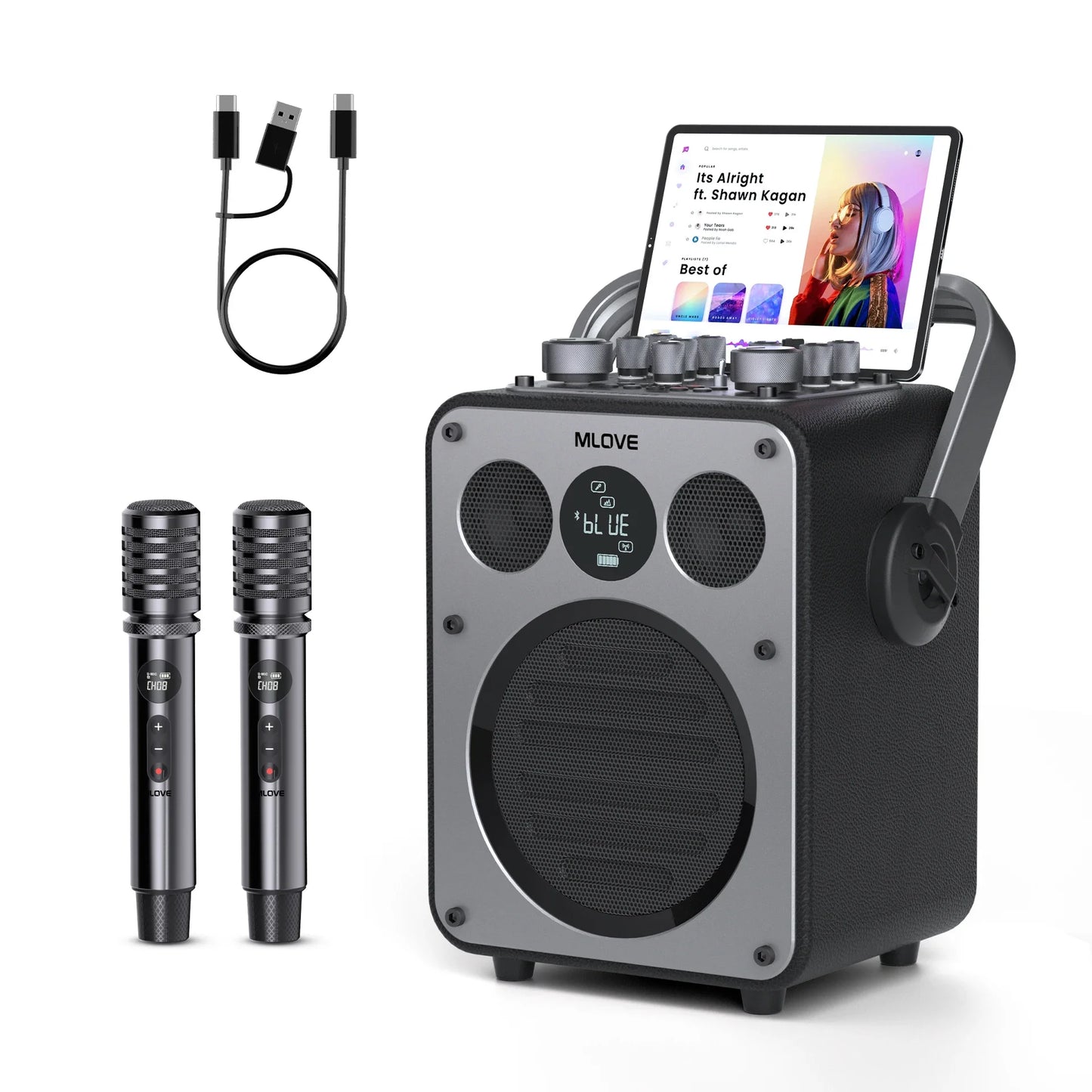 MLOVE D5 Karaoke System With Bluetooth And 2 Wireless Microphones