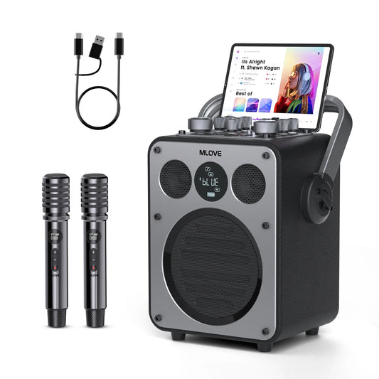 MLOVE D5 Karaoke System With Bluetooth And 2 Wireless Microphones